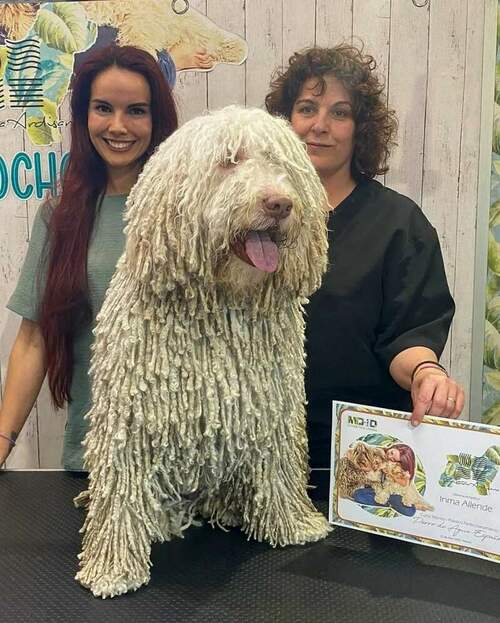 Inma Allende Peluquería Canina en Pumarín en Gijón