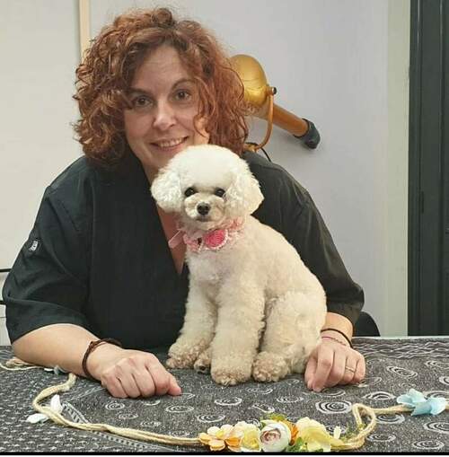Inma Allende Peluquería Canina en Pumarín en Gijón
