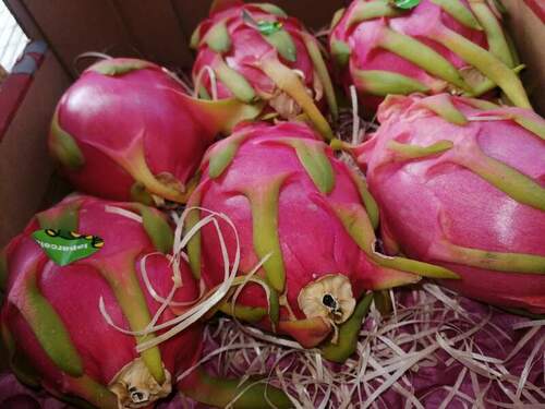 Frutería Rosa en Pumarín en Gijón