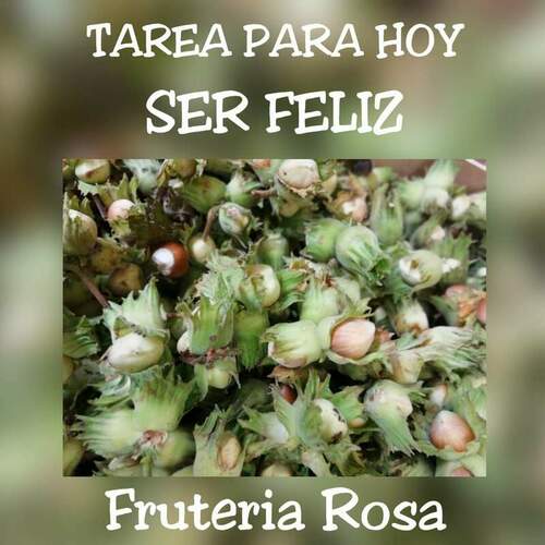Frutería Rosa en Pumarín en Gijón