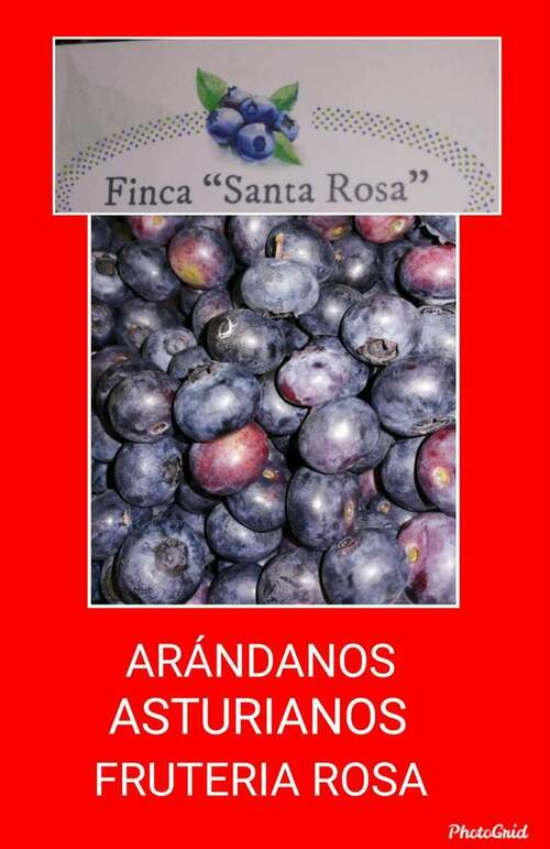 Frutería Rosa en Pumarín en Gijón